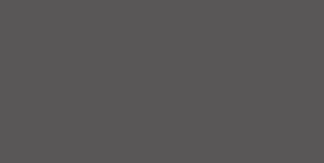 Earth Gray