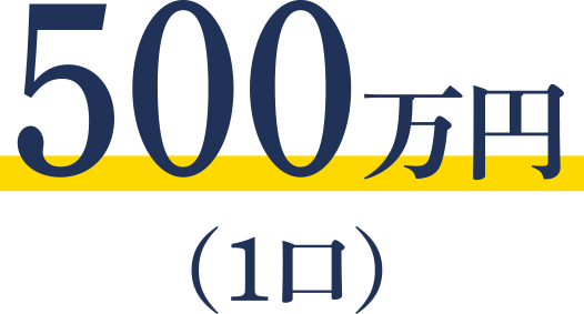 500万円(1口)